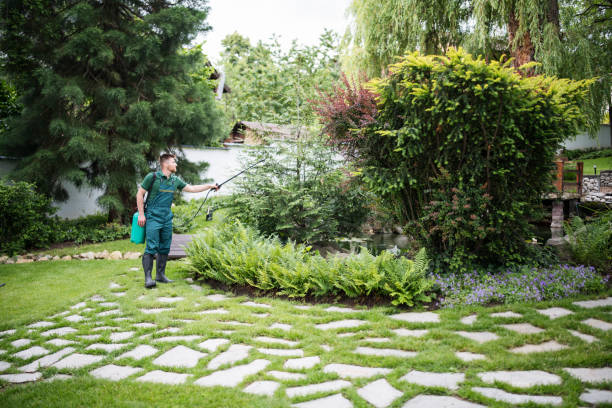 Mulching Services in Cross Lanes, WV